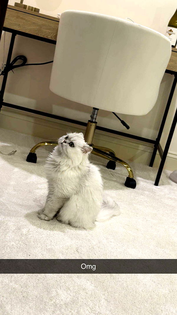 onlygracexrayne image ~ Altpins