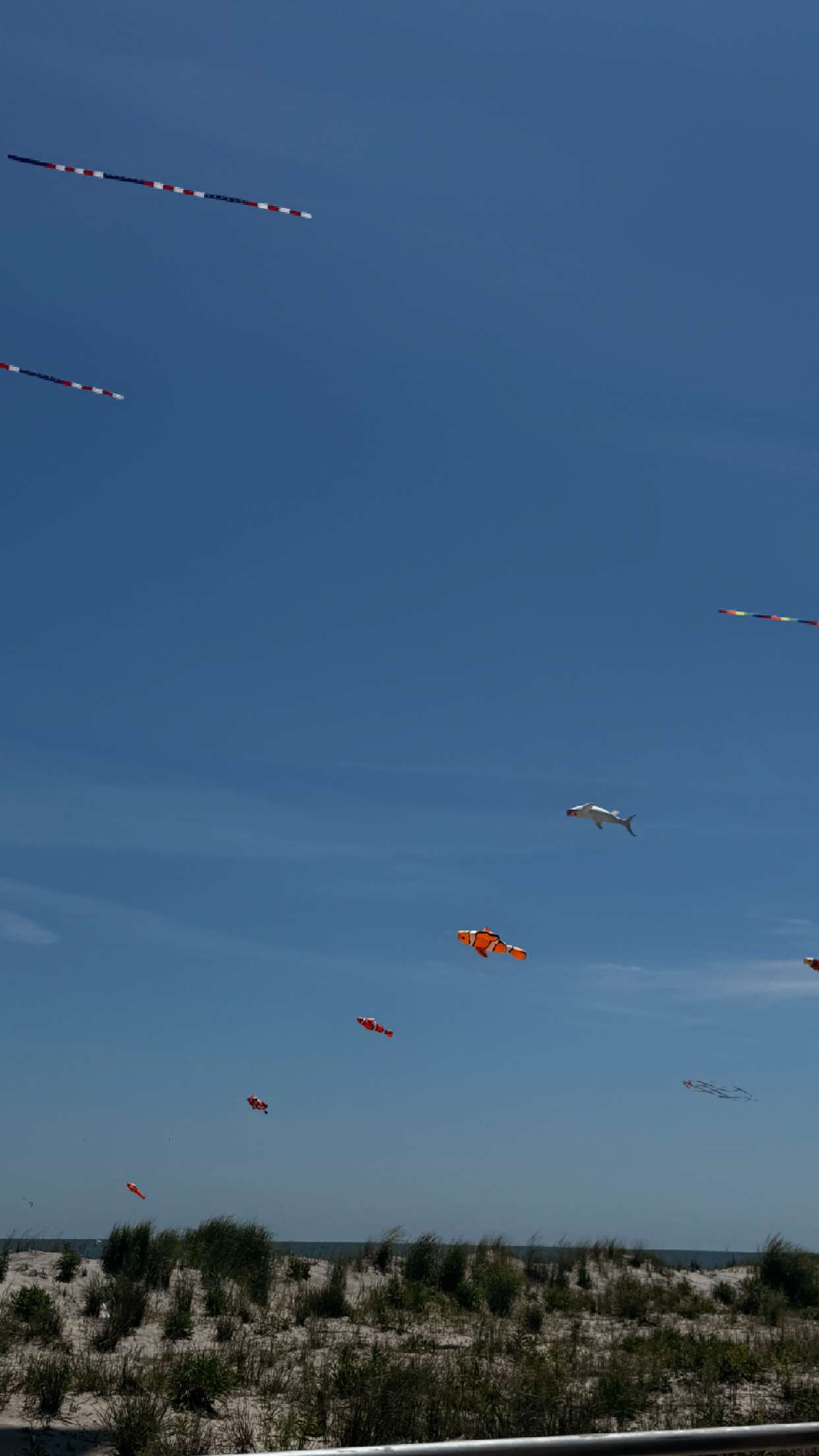 onlygracexrayne snapchat image archive image