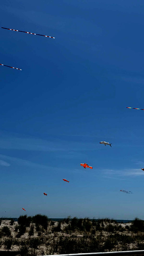 onlygracexrayne image ~ Altpins