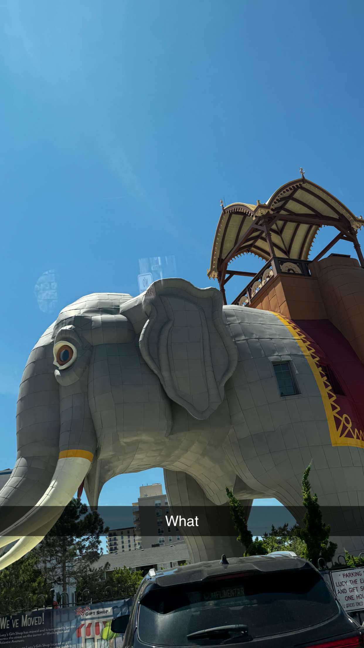 onlygracexrayne snapchat image archive image