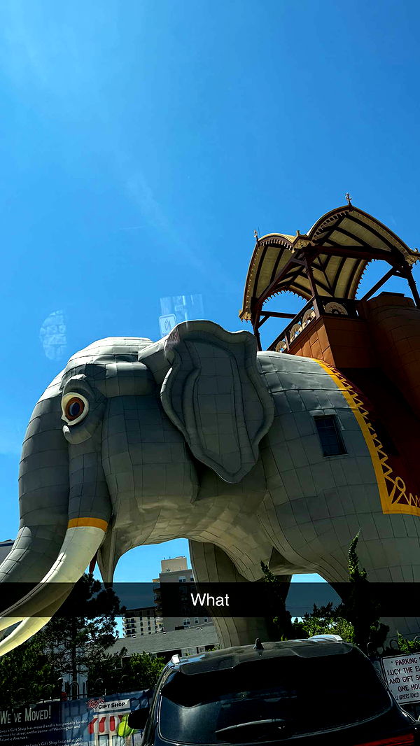 onlygracexrayne image ~ Altpins