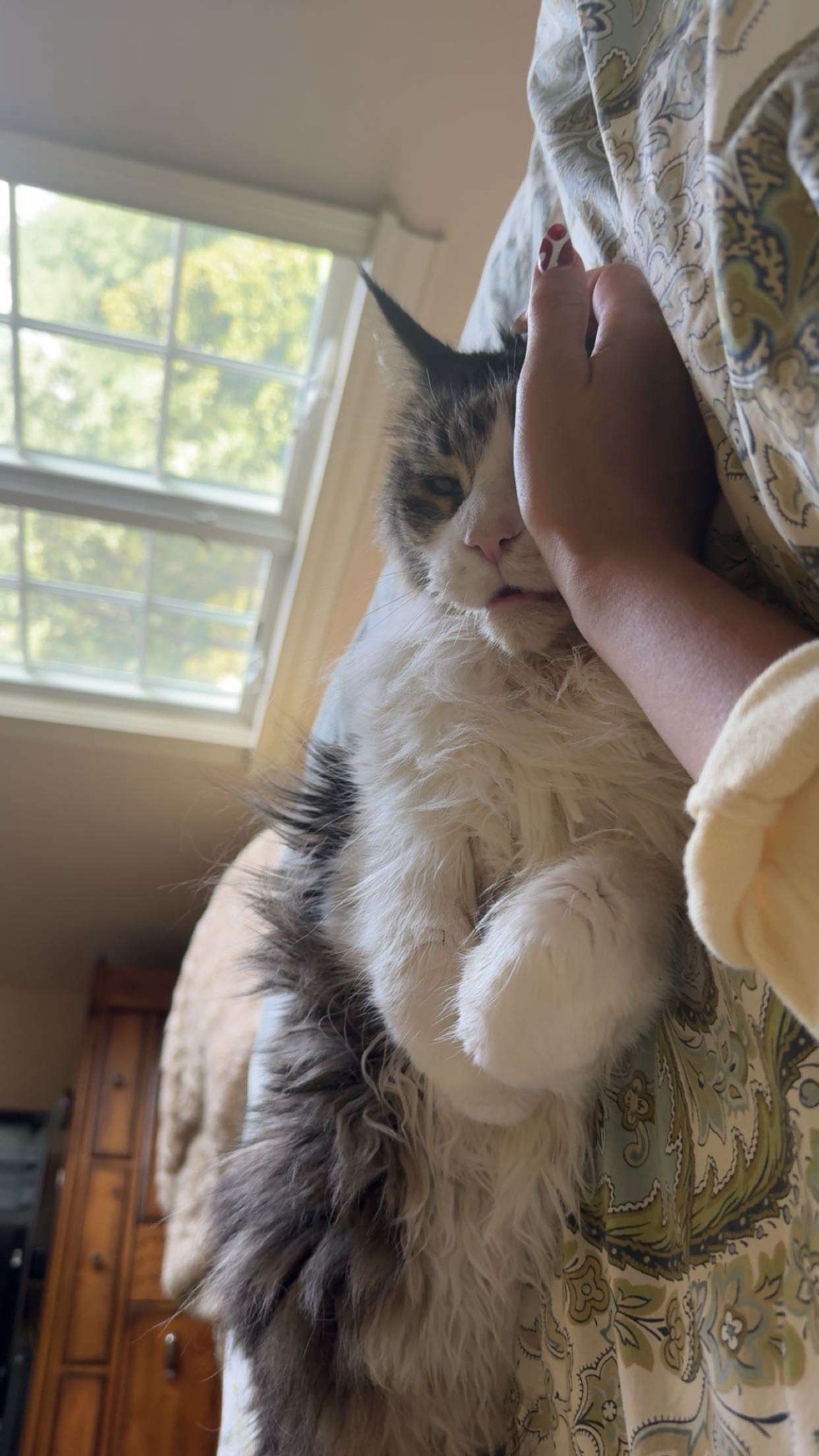 onlygracexrayne snapchat image archive image