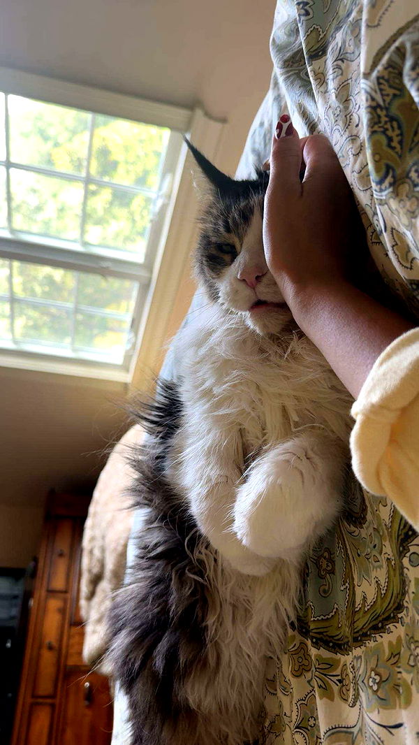 onlygracexrayne image ~ Altpins