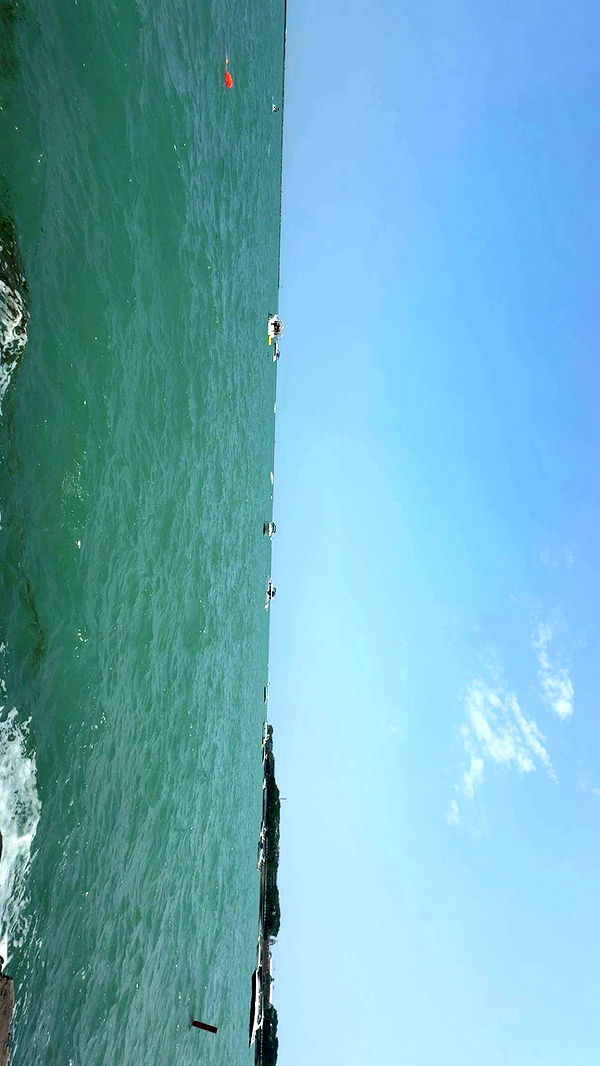 onlygracexrayne image ~ Altpins