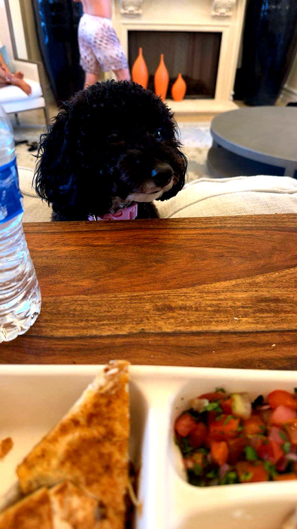 onlygracexrayne image ~ Altpins