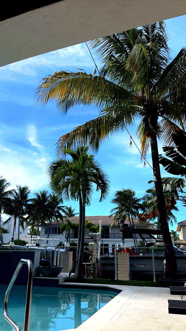 onlygracexrayne image ~ Altpins