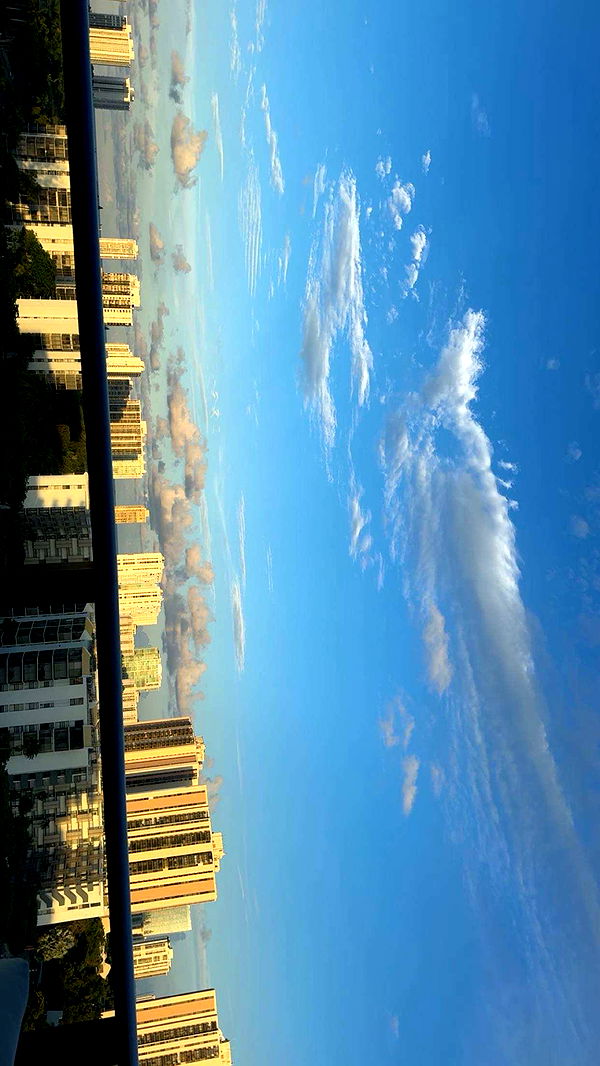 onlygracexrayne image ~ Altpins