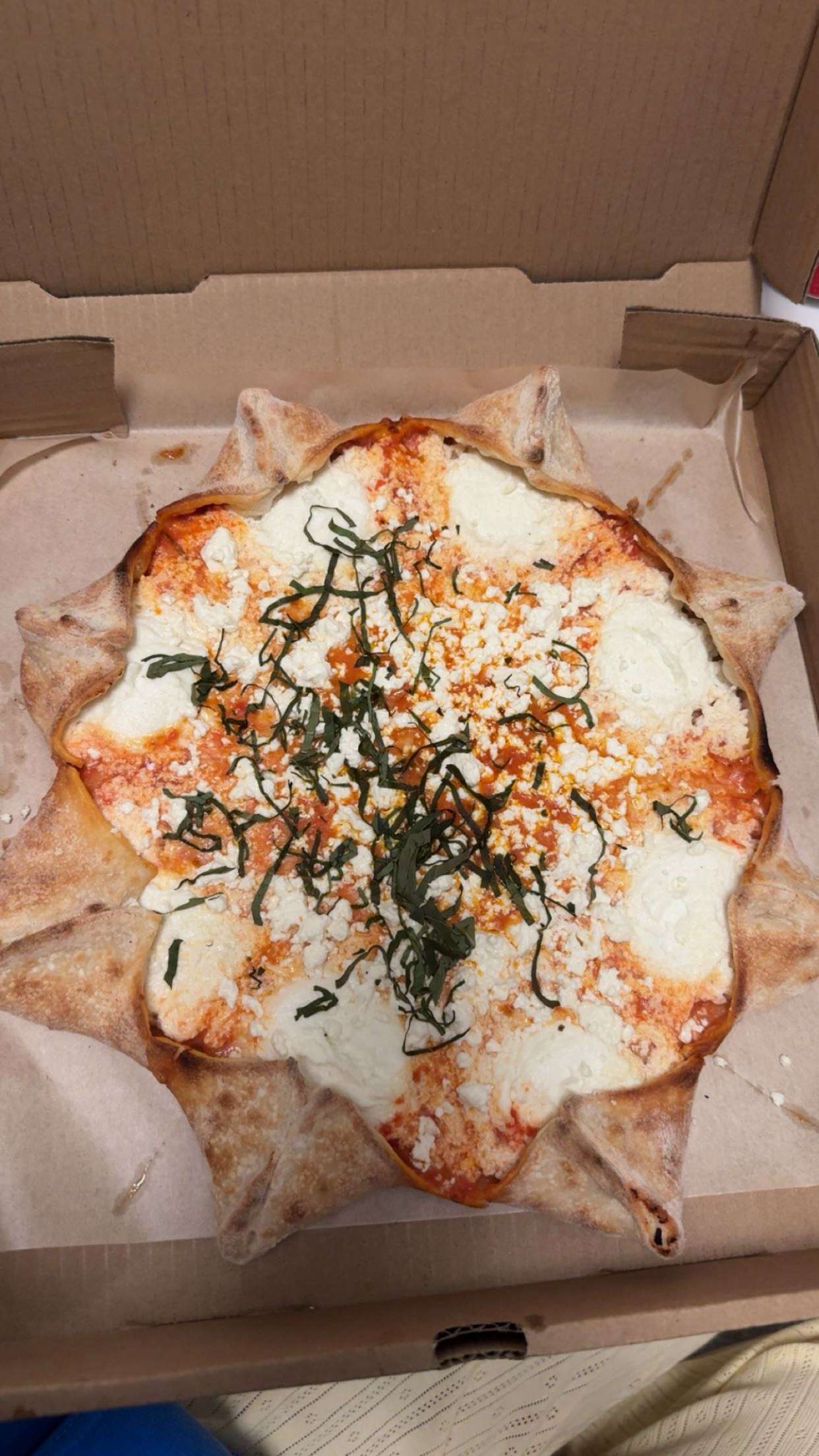 onlygracexrayne snapchat image archive image