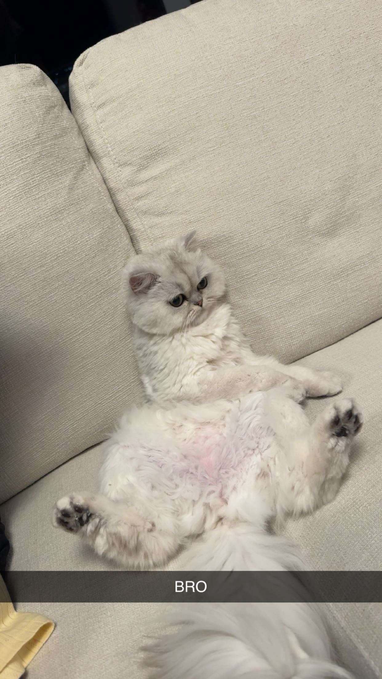 onlygracexrayne snapchat image archive image