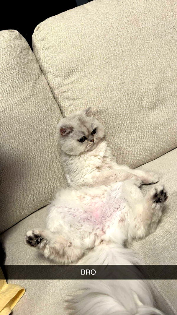 onlygracexrayne image ~ Altpins