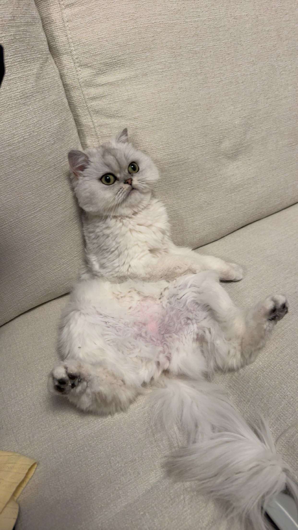 onlygracexrayne snapchat image archive image