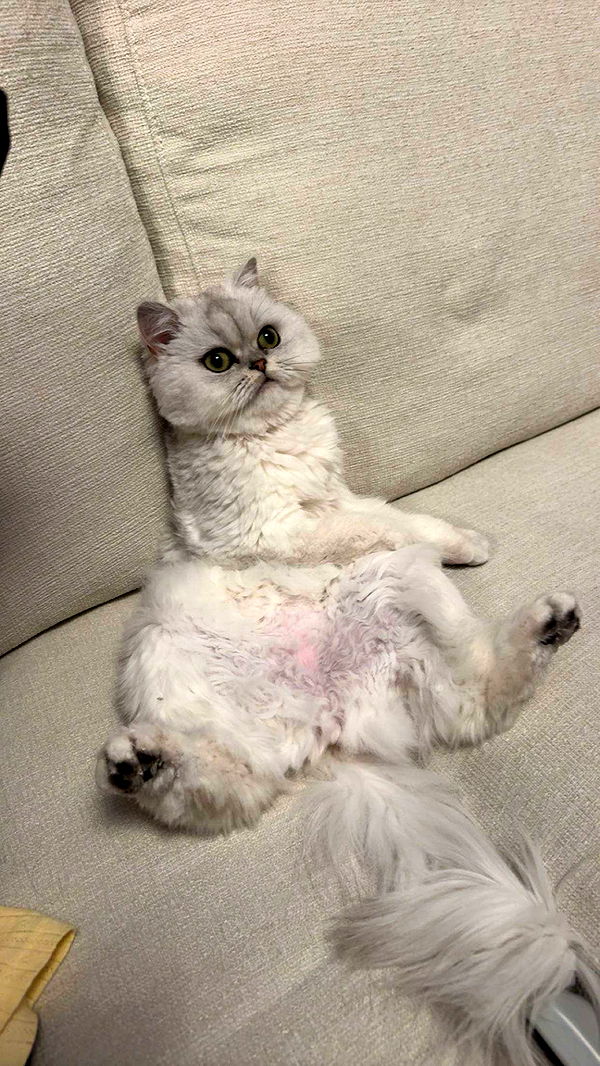 onlygracexrayne image ~ Altpins