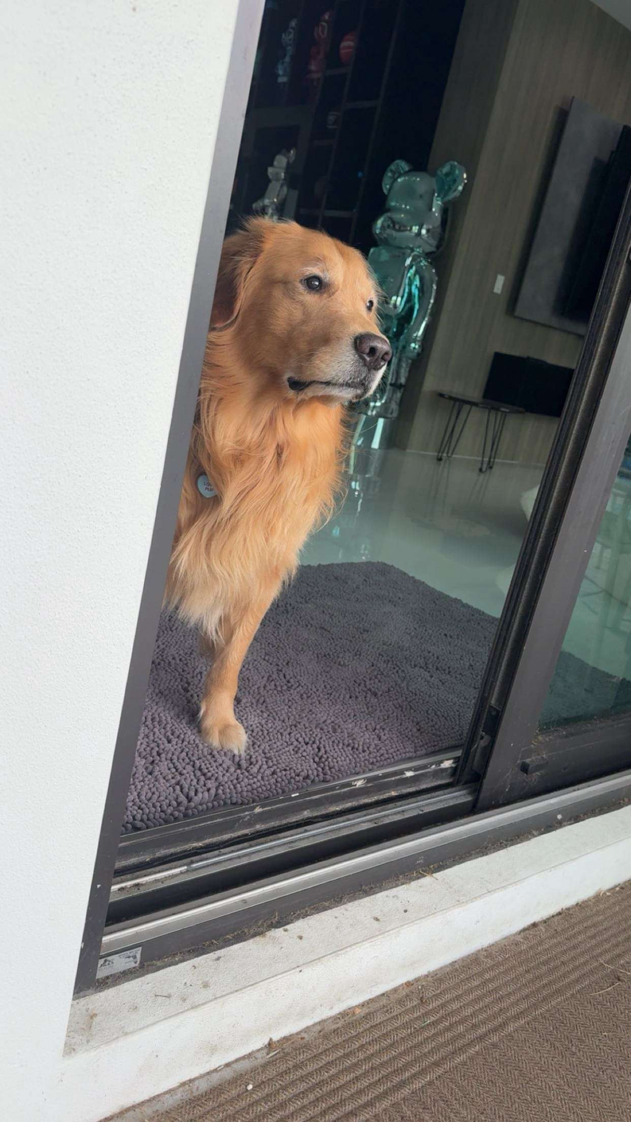 onlygracexrayne snapchat image archive image