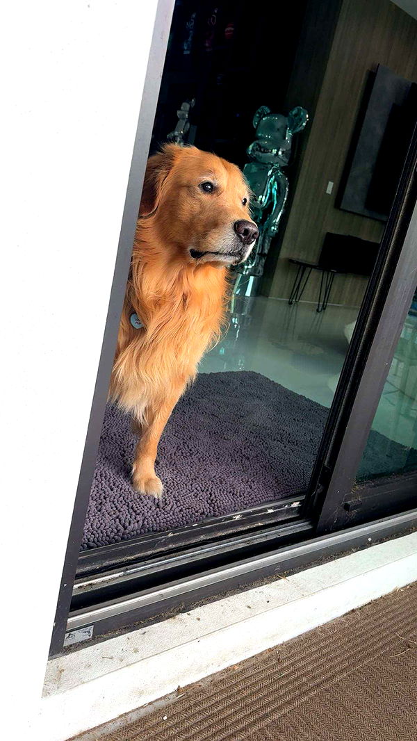 onlygracexrayne image ~ Altpins