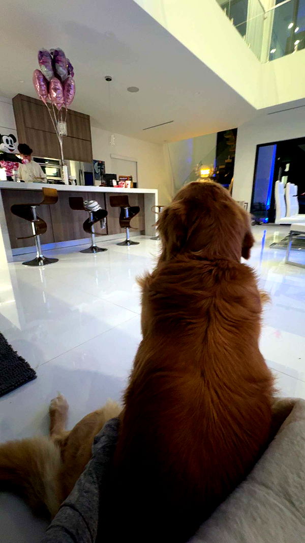 onlygracexrayne image ~ Altpins