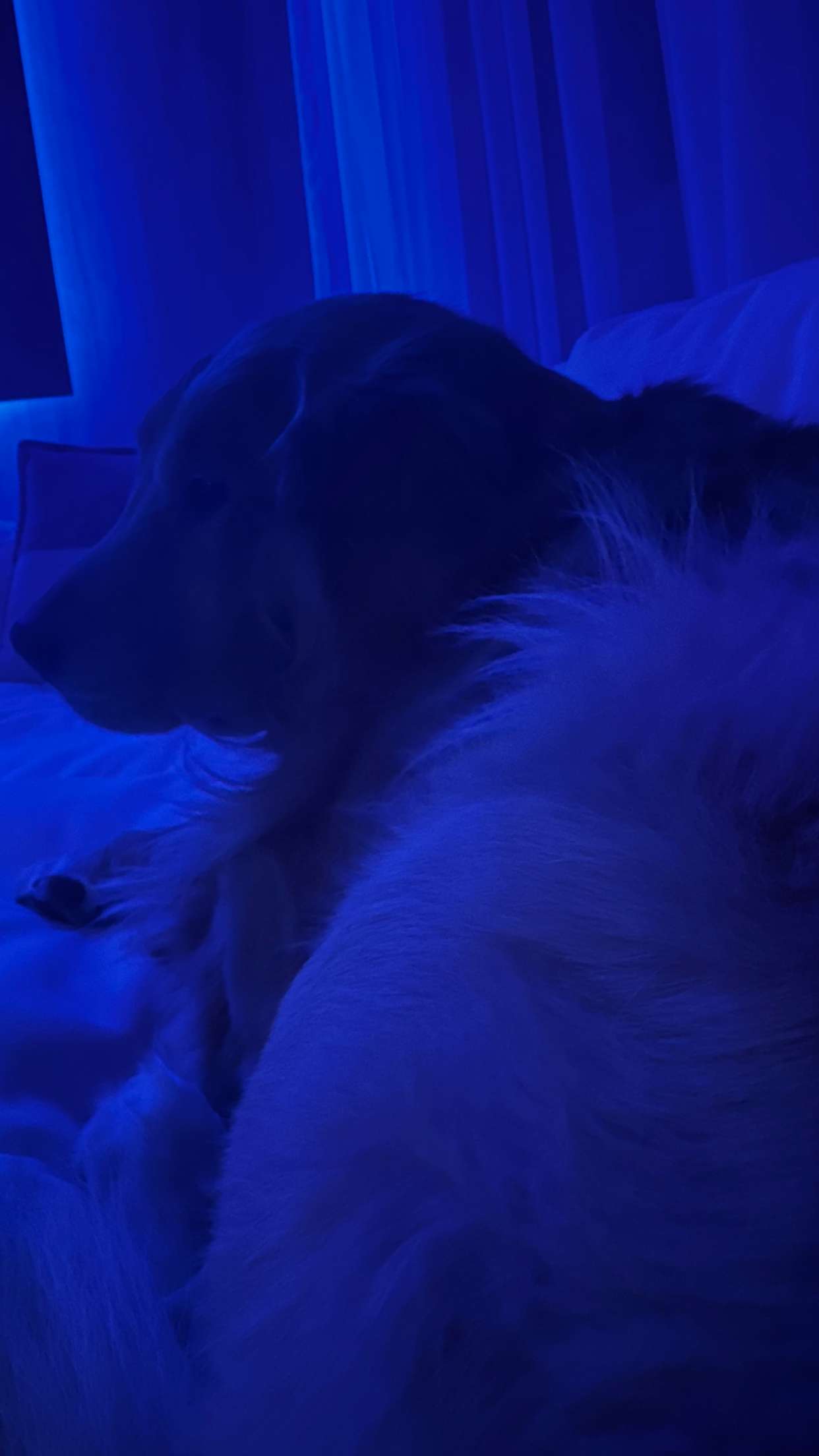 onlygracexrayne snapchat image archive image