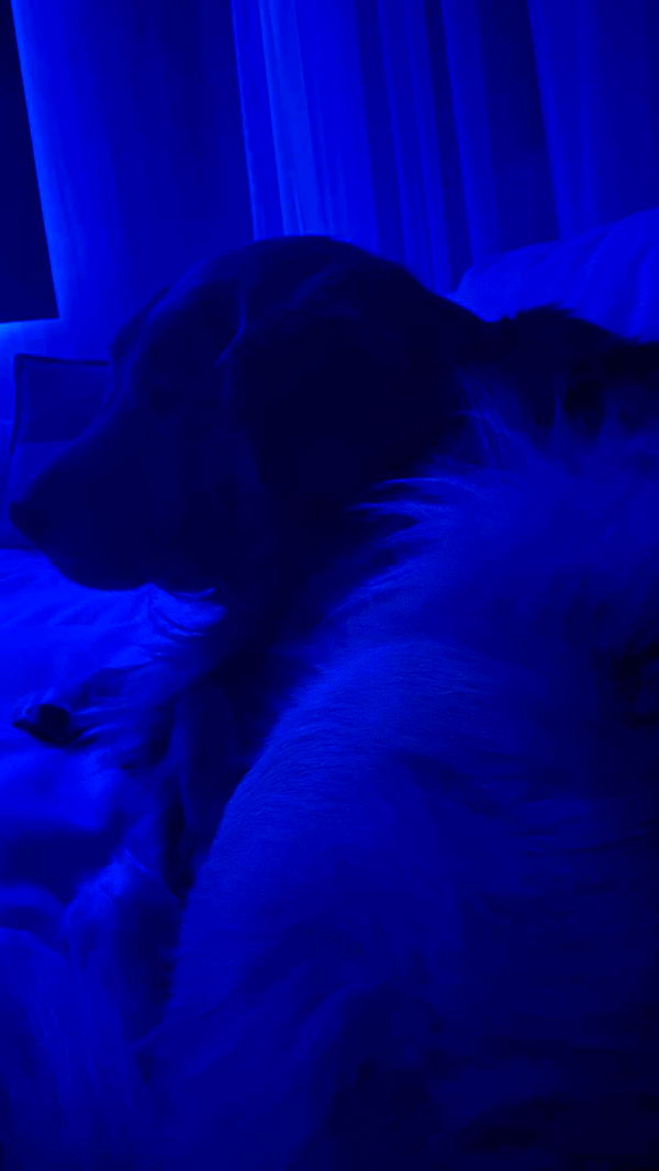 onlygracexrayne image ~ Altpins