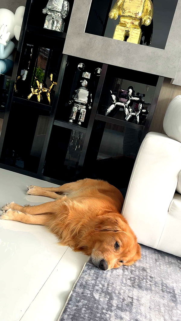 onlygracexrayne image ~ Altpins