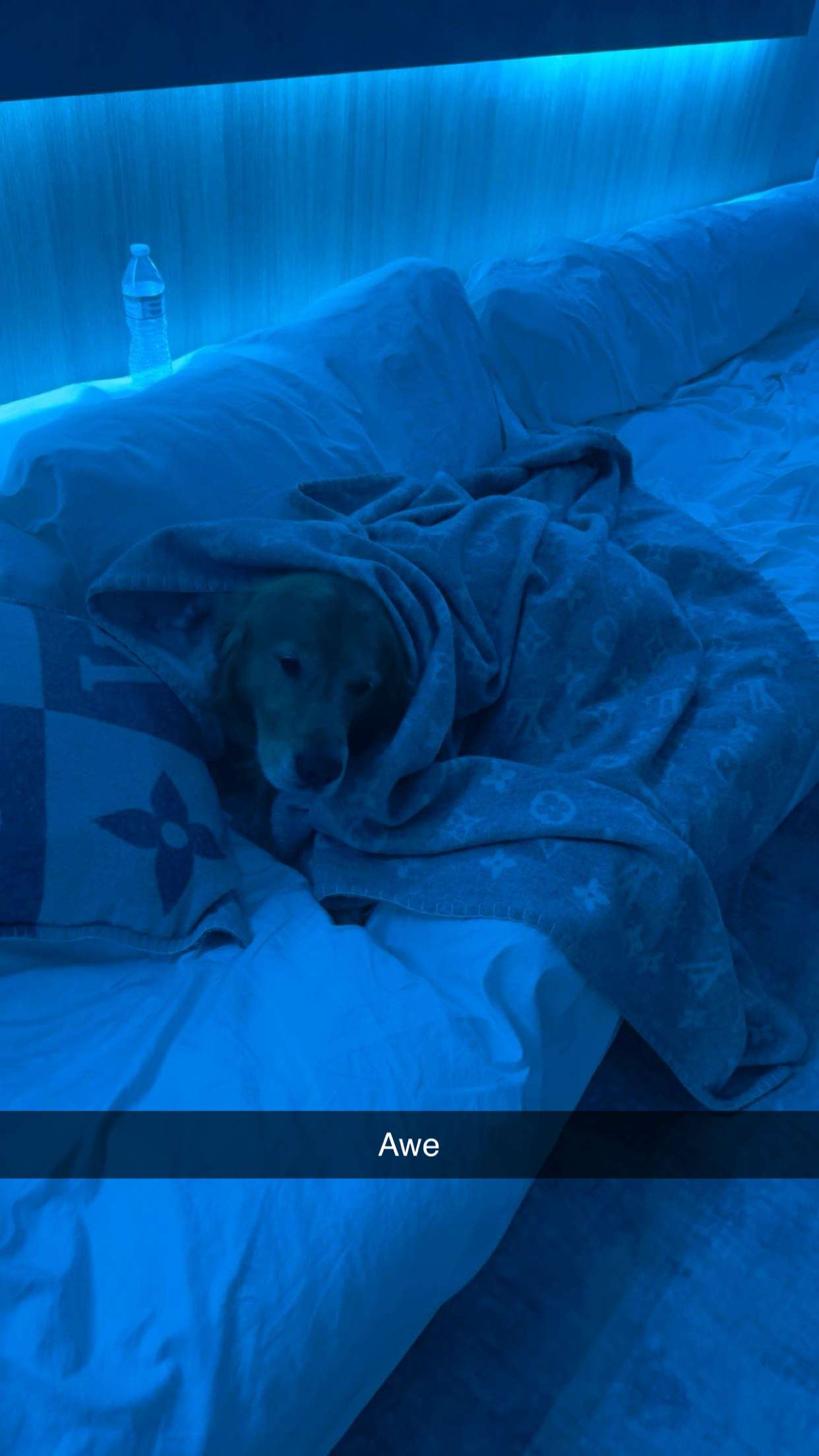 onlygracexrayne snapchat image archive image