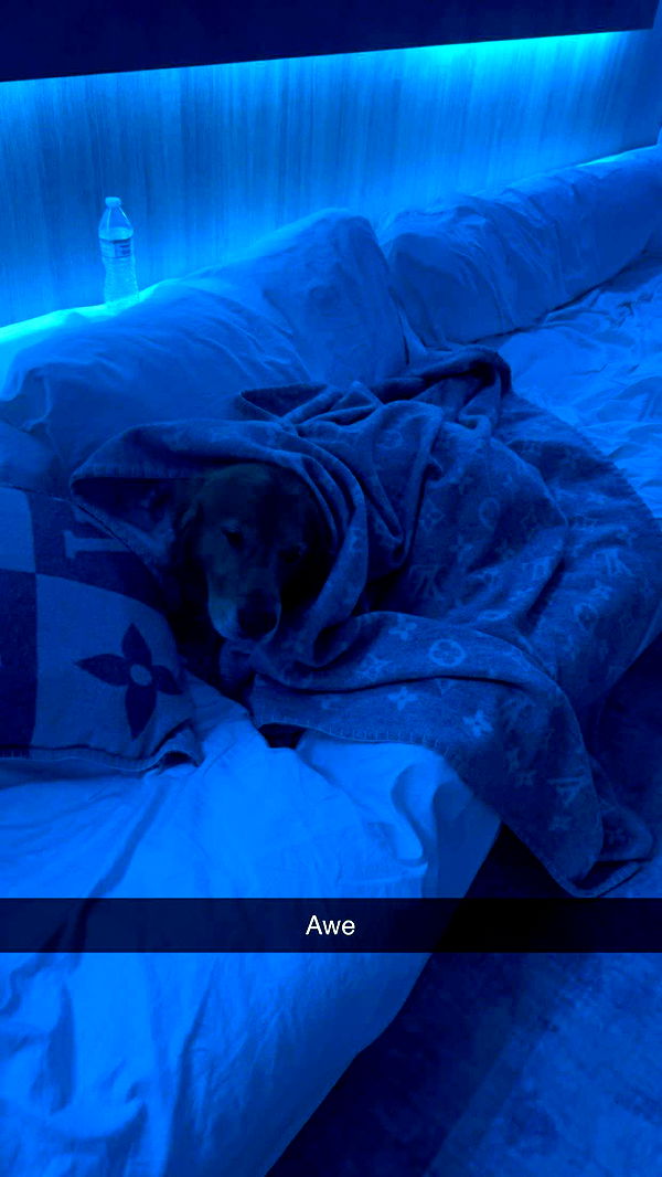 onlygracexrayne image ~ Altpins