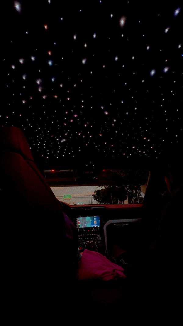 onlygracexrayne image ~ Altpins