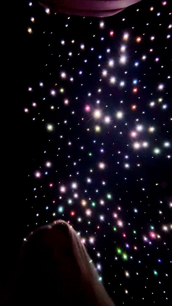 onlygracexrayne image ~ Altpins