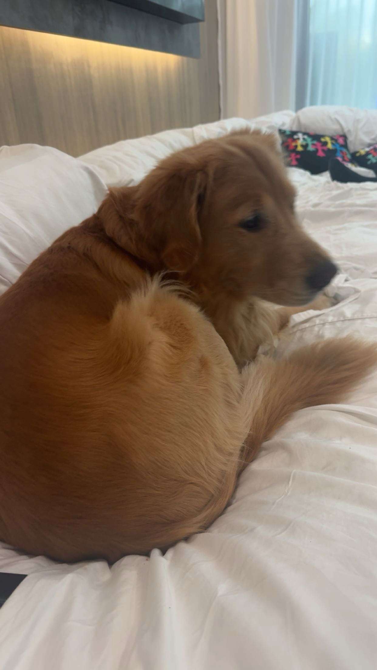 onlygracexrayne snapchat image archive image