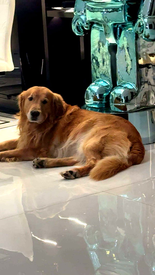 onlygracexrayne image ~ Altpins