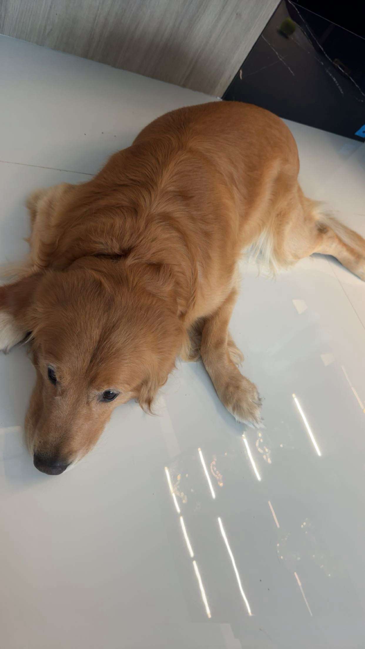 onlygracexrayne snapchat image archive image