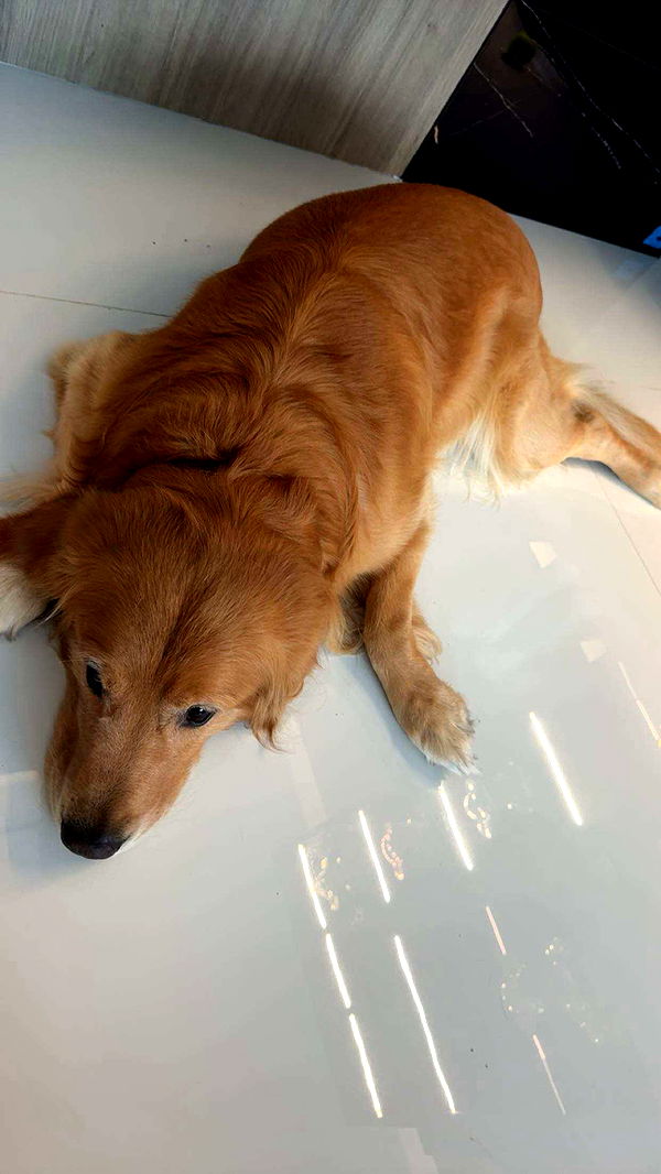 onlygracexrayne image ~ Altpins