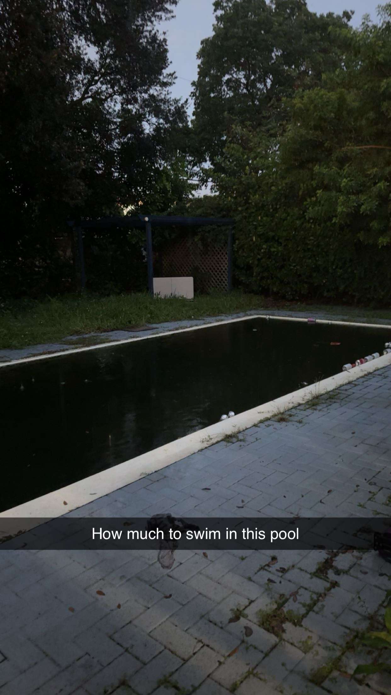 onlygracexrayne snapchat image archive image