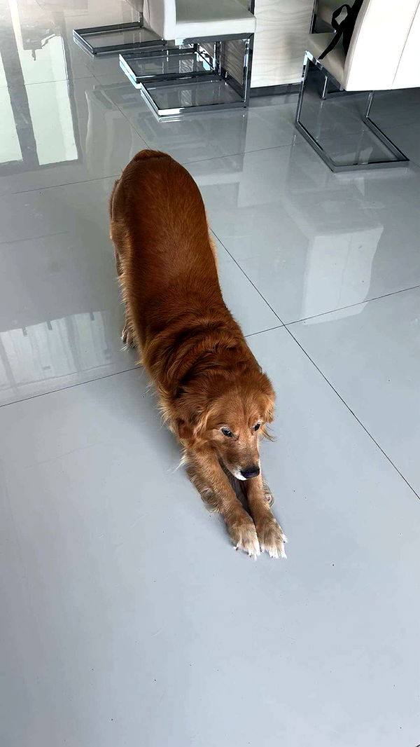 onlygracexrayne image ~ Altpins