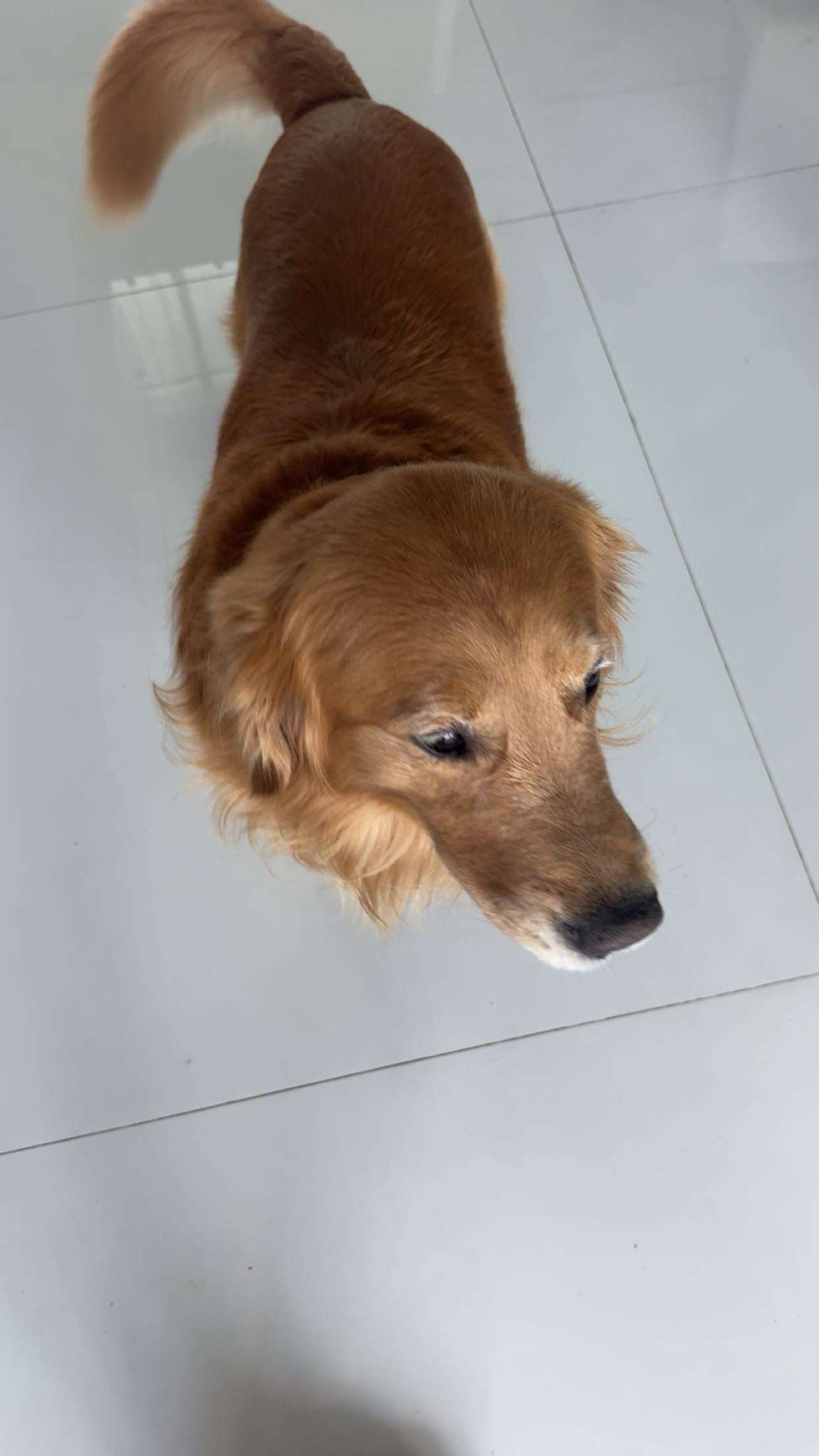 onlygracexrayne snapchat image archive image