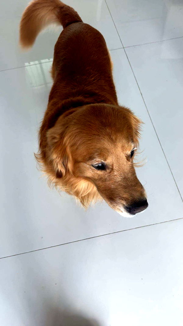 onlygracexrayne image ~ Altpins