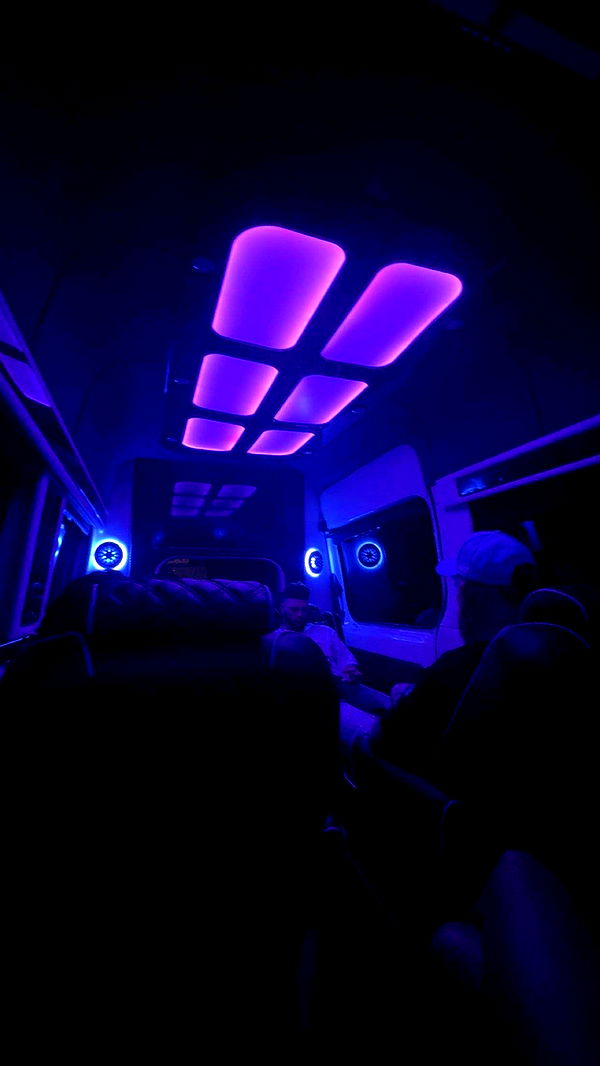 onlygracexrayne image ~ Altpins