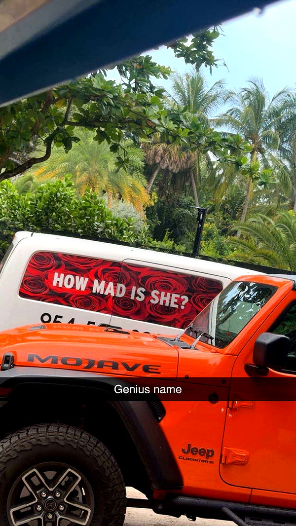 onlygracexrayne image ~ Altpins