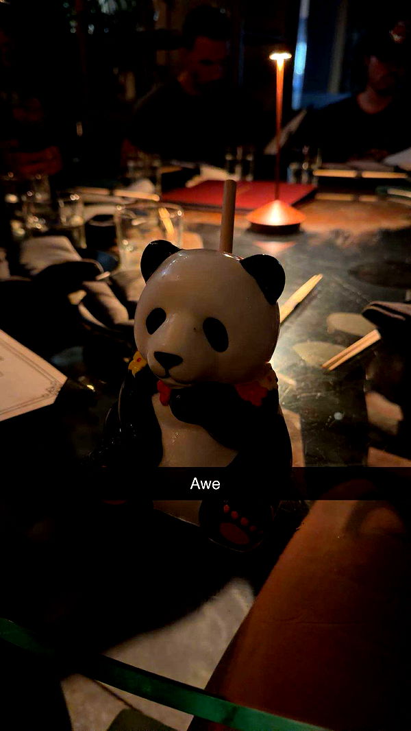 onlygracexrayne image ~ Altpins