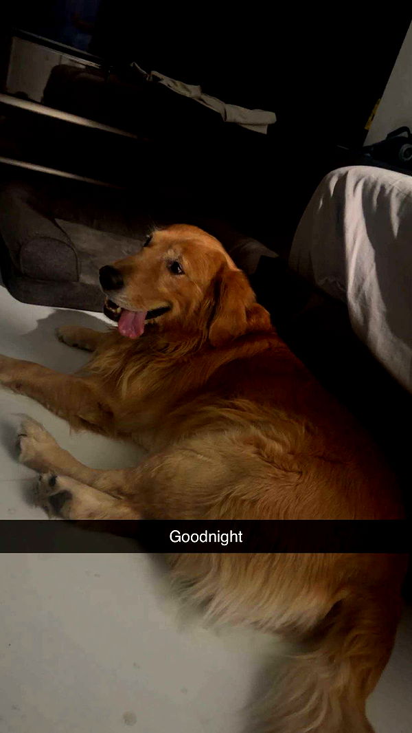 onlygracexrayne image ~ Altpins