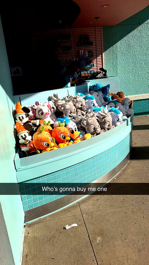 onlygracexrayne image ~ Altpins