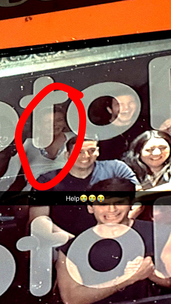 onlygracexrayne image ~ Altpins