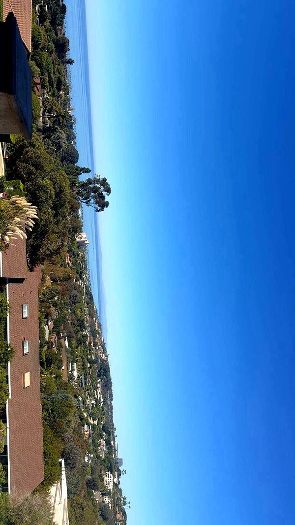 onlygracexrayne image ~ Altpins