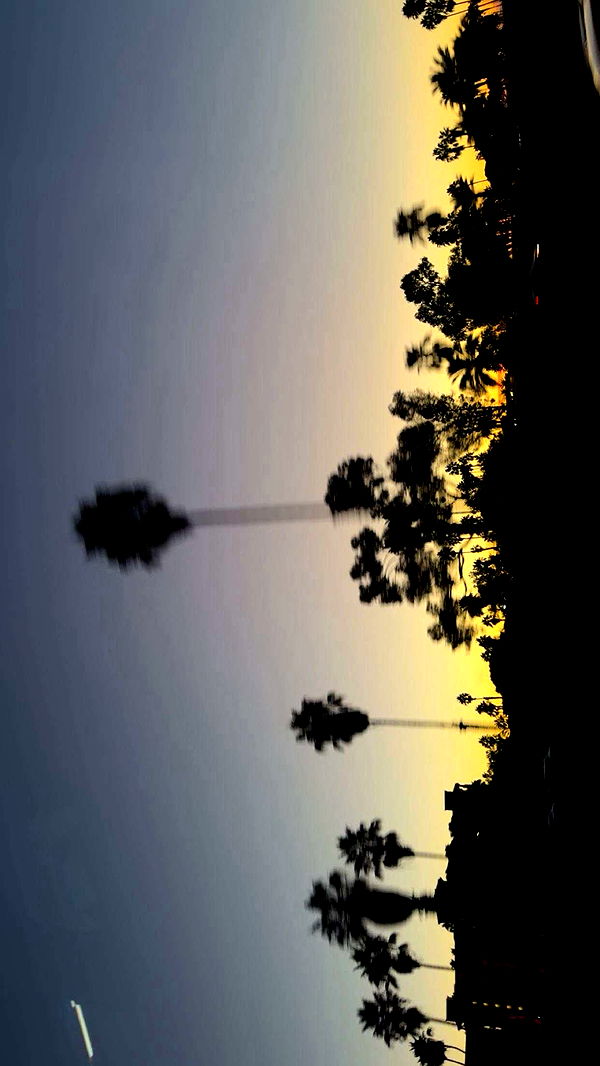 onlygracexrayne image ~ Altpins