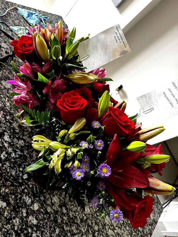 onlygracexrayne image ~ Altpins