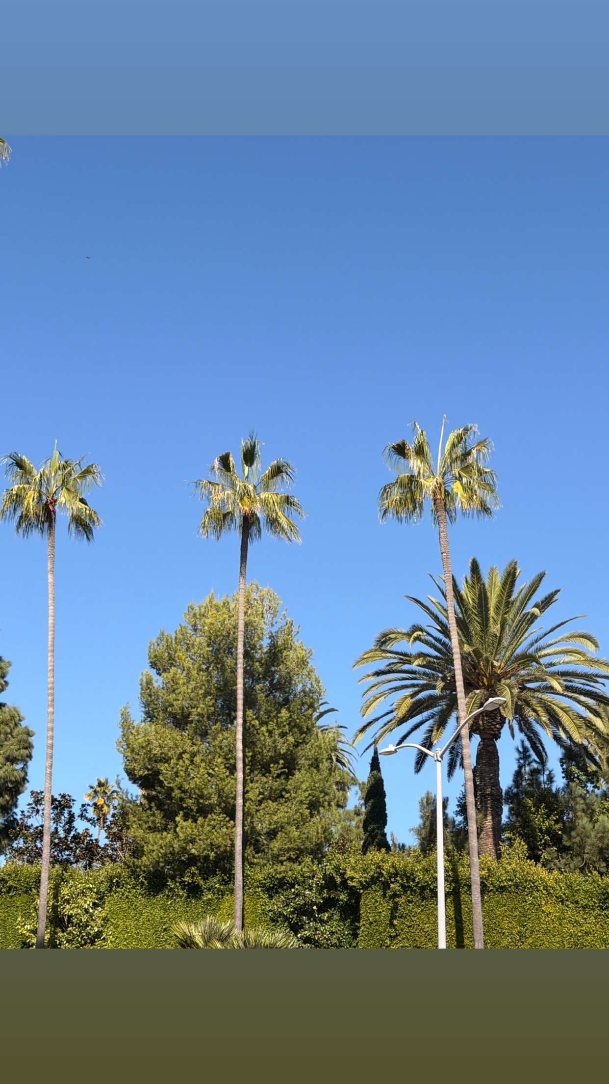 onlygracexrayne snapchat image archive image