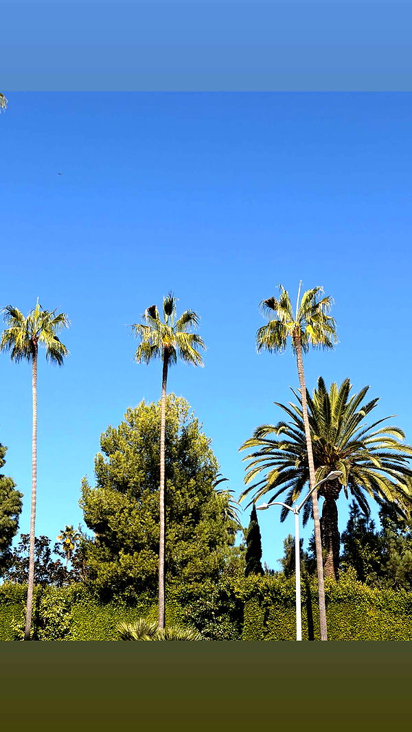 onlygracexrayne image ~ Altpins