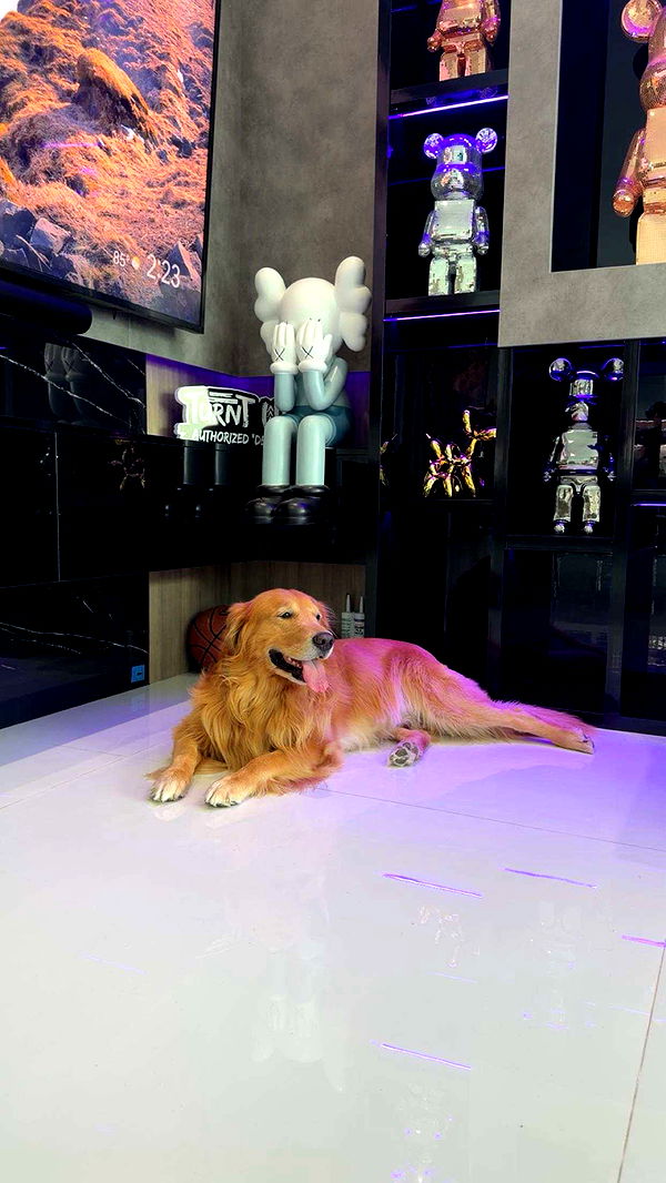 onlygracexrayne image ~ Altpins