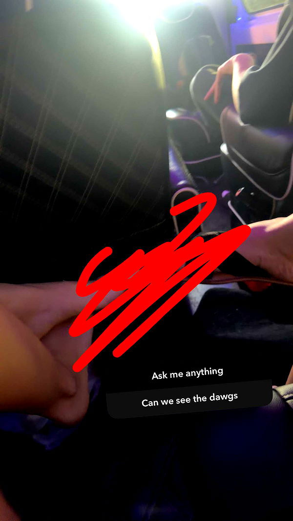 onlygracexrayne image ~ Altpins