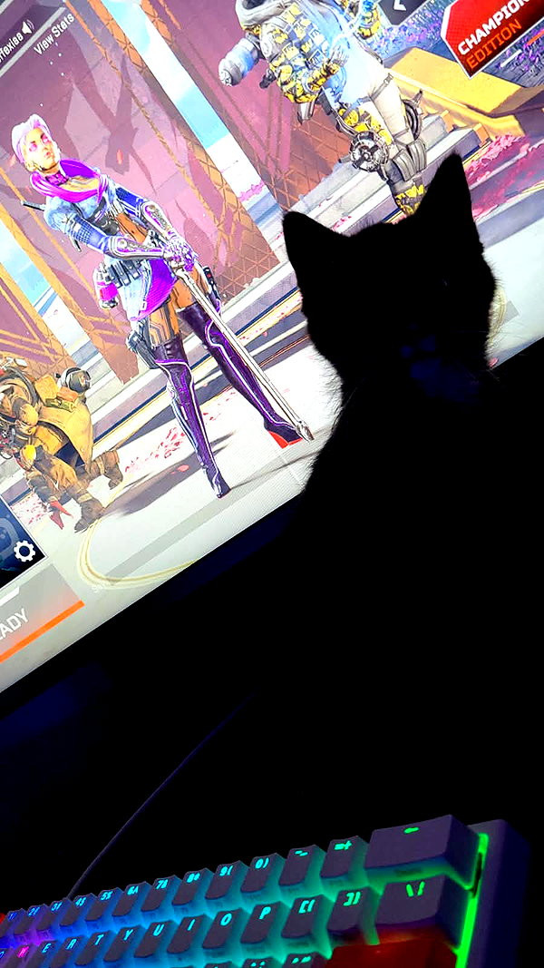 perfexiia snapchat image archive image