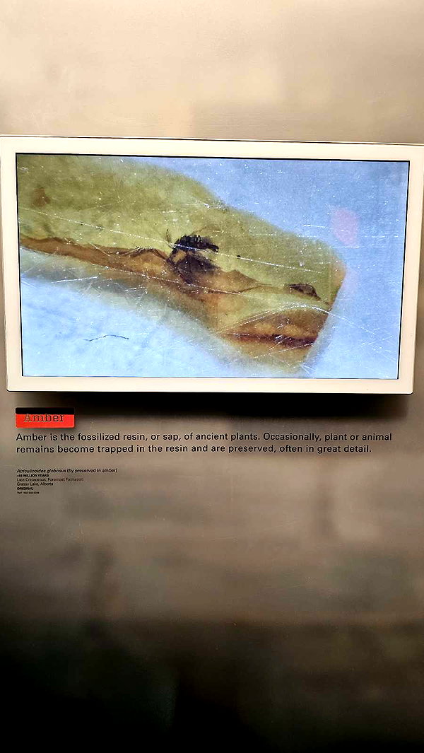 perfexiia snapchat image archive image