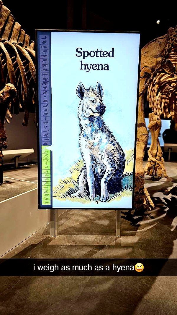 perfexiia snapchat image archive image